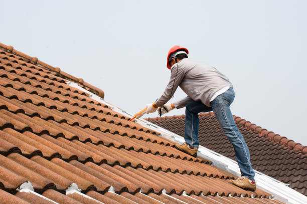 Best Green or Eco-Friendly Roofing Solutions  in Indian Hills, CO